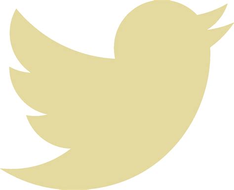 Download Twitter ‹ Twitter Bird Icon White Transparent Png