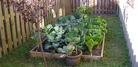 What To Plant In Your Winter Vegetable Garden Pacific Northwest