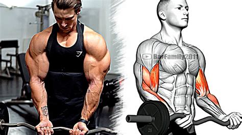 How To Build Your Arms Fast 14 Effective Exercises For Biceps Triceps