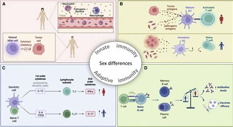 Sex And Cancer Immunotherapy Current Understanding And Challenges