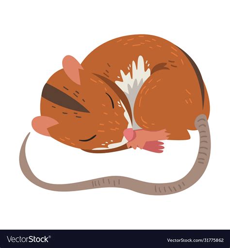 Sleeping Field Mouse Cute Fluffy Red Rodent Vector Image