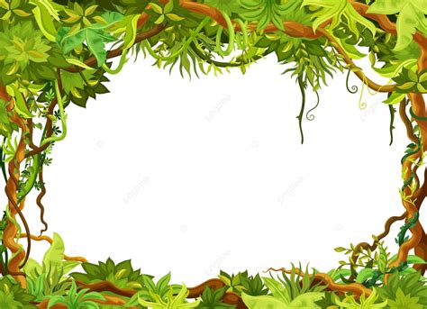 Cartoon Tropical Jungle Frame Liana Spring Ui Png And Vector With