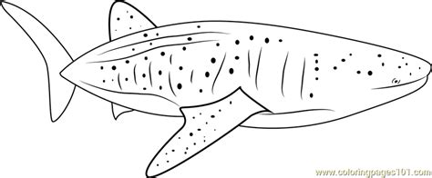 The tongue of blue whale weighs about the weight of an elephant. Blue Whale Coloring Page - Free Whale Coloring Pages ...