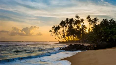 Top 10 Beaches In Sri Lanka Dip Your Toes In The Sparkling Blue Sea