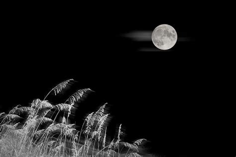 Mid Autumn Moon Photograph By Wenjin Yu Fine Art America