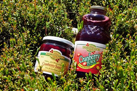 Eating fruits, vegetables, superfoods, staying well hydrated, getting plenty of exercise, etc. Pure Cranberry Juice - Johnston's Cranberry Marsh ...