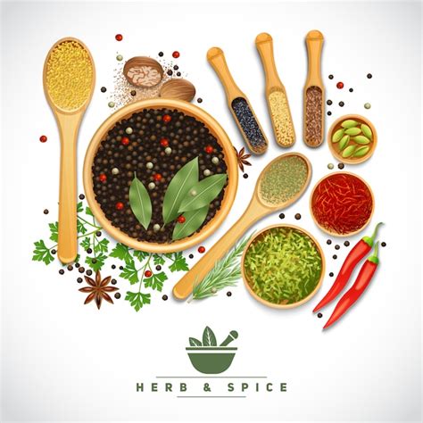 Herb And Spice Poster Free Vector