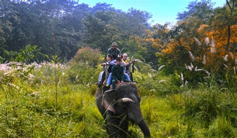 Chitwan Jungle Safari 3 Night 2 Days Jungle Safari Tour In Nepal