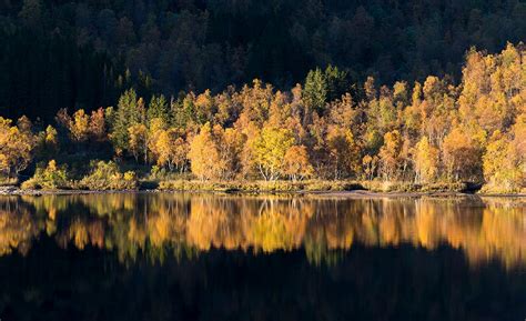 Colors Of Autumn World Photography Image Galleries By Aike M Voelker
