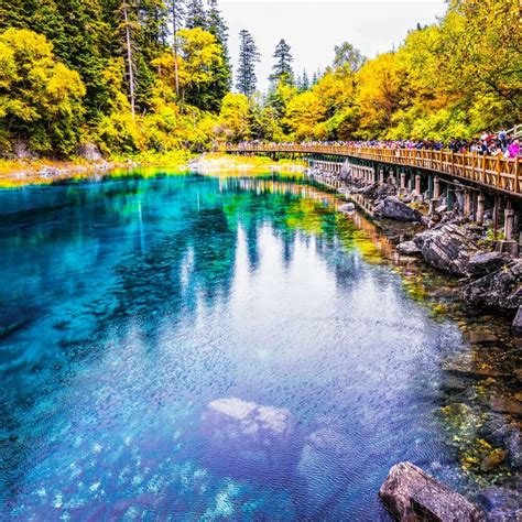 Five Color Lake Most Beautiful Lake In Jiuzhaigou Valley