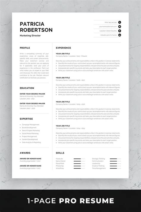 Free 2 page resume template with portfolio page. Professional 1 Page Resume Template | Modern One Page CV ...