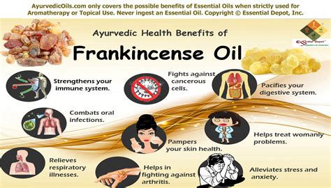 Frankincense In Ayurveda Essential Oil