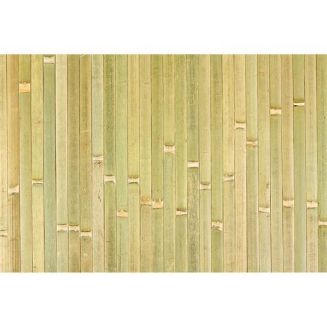 Bamboo Ceiling Diy Ceiling Bamboo Wall Ceiling Ideas Tornado Room