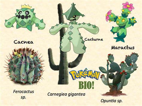 Otro hongo de queso panela. LA CIENCIA DE LA VIDA: La base biológica de los Pokémon ...
