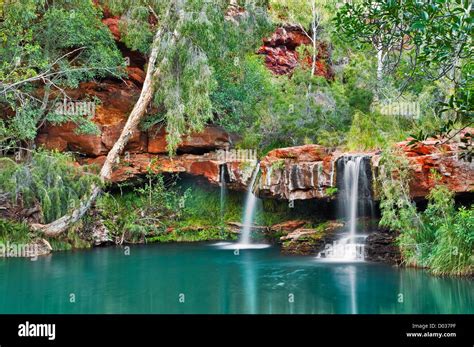 Emerald Coloured Water At Fern Pool In Karijini National Park Stock