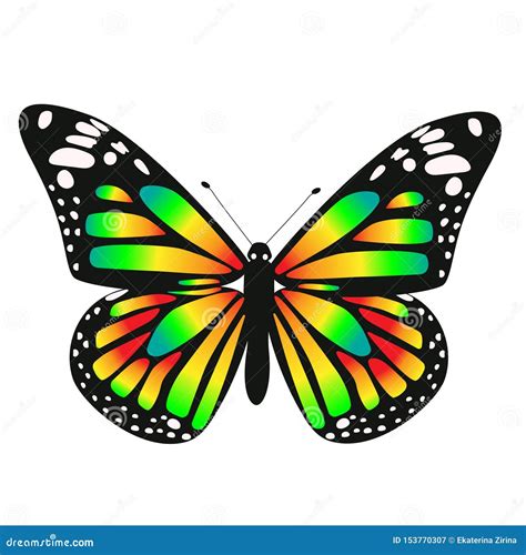 One Toxic Gradient Butterfly Vector Graphics Isolated On White