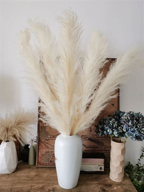 34large Fluffy Pampas Grass 5 Stems Dried Flowers Etsy In 2020