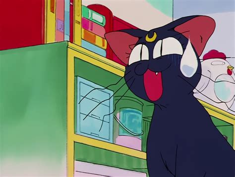 Sailor Moon R Episode 56