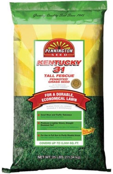 Pennington Seed Kentucky 31 Penkoted Tall Fescue Grass Seed Bagged 25