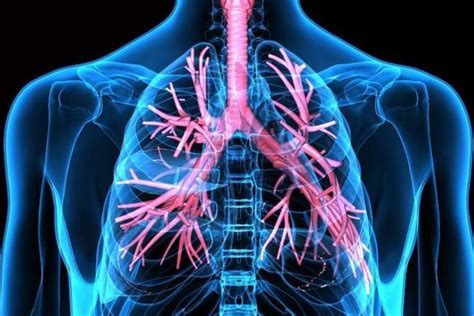 Las Enfermedades Respiratorias M S Comunes Causas Y S Ntomas