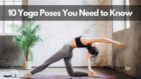 Yoga Poses You Need To Know Buzzertips