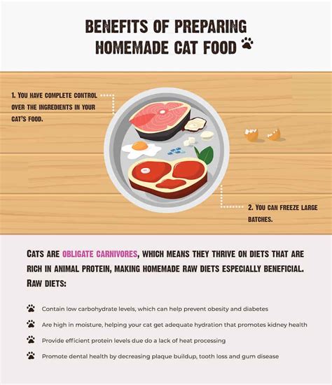 Homemade Cat Food Benefits Tips And How To Get Started Rawz