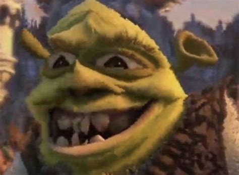 Shrek Aesthetic Face Shrek Funny Stupid Memes Funny Profile Pictures