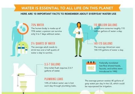 The 25 Best Ways To Conserve Water [infographic] Greener Ideal
