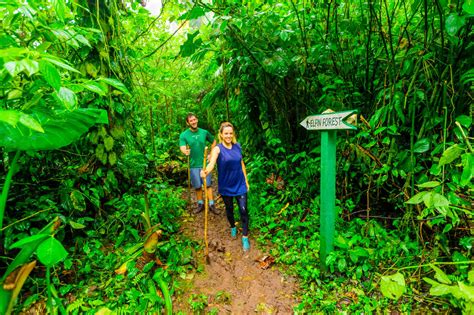 Couple And Woman Hiking Through The Jungle On Saba Island Netherlands Antilles West Indies