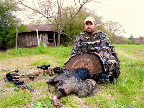Crossbow Hunting For Turkey Crossbow Nation