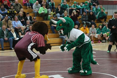 Wisconsin High Schools Readers Share Which Mascot Is Most Interesting