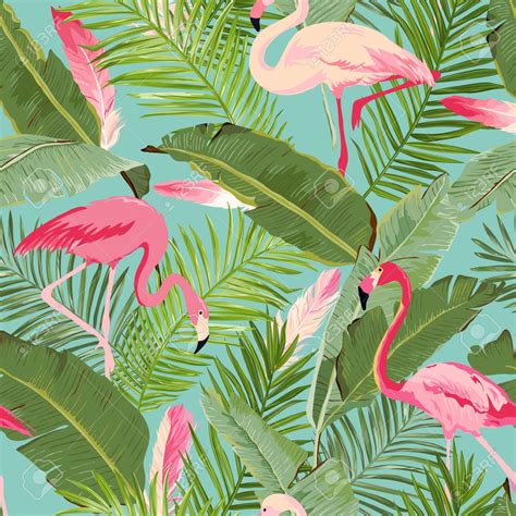 🔥 60 Tropical Wallpaper Free Wallpapersafari