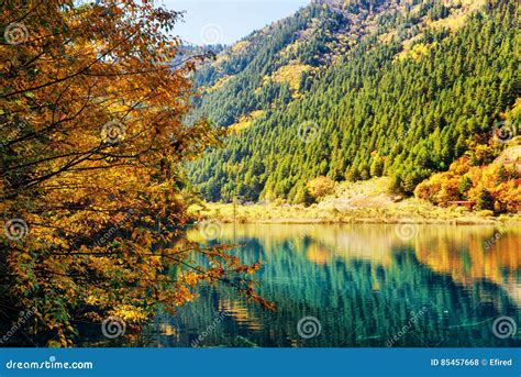 Beautiful Lake Among Colorful Fall Woods And Mountains Stock Photo