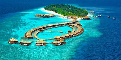 Lily Beach Resort Maldives Book Lily Beach Resort