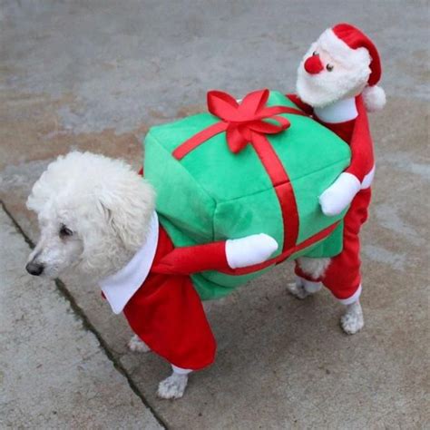Santa Claus Dog Carrying Present Costume Pet Clothes Furbabeez Tag