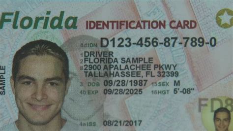 Licencia De Conducir Florida 2023 Imagesee