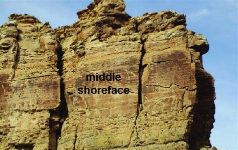 Middle Shoreface Facies In Parasequence Kf 2 Iv A Usually Forms A