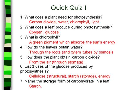 Maybe you would like to learn more about one of these? Summary of Photosynthesis