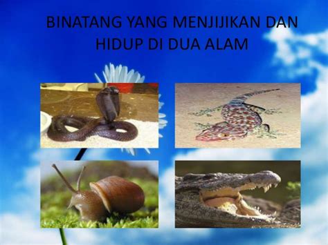 Kumpulan contoh surat bisnis, surat dinas, surat izin, surat kuasa, surat lamaran kerja, surat pemberitahuan, surat penawaran, surat pengunduran diri, surat. Larangan Makanan Tidak Halal Untuk Semua | Vitamin Cerdik ...