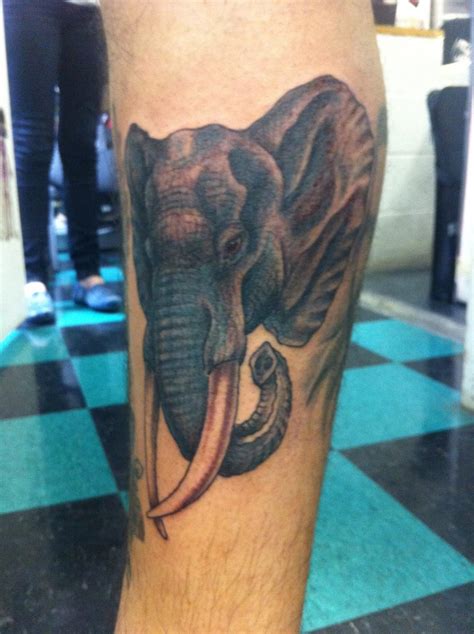 Wild Tattoos Elephant Tattoos