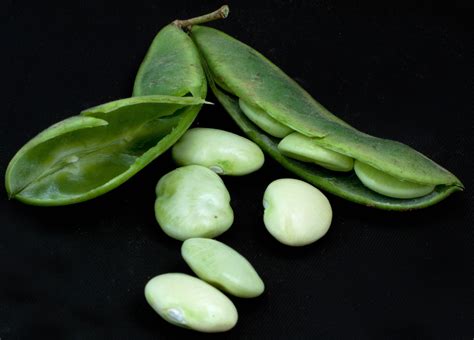 Lima Beans 4k Ultra Hd Wallpaper And Background Image 4068x2924 Id