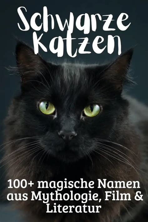 Schwarze Katzen 🖤 100 Katzennamen Aus Magie And Mystik