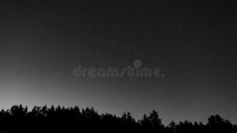 The Starry Night Sky Above The Silhouette Of The Forest The Andromeda