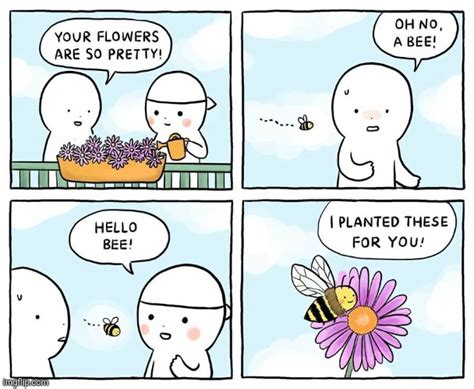 Bee Flower Imgflip