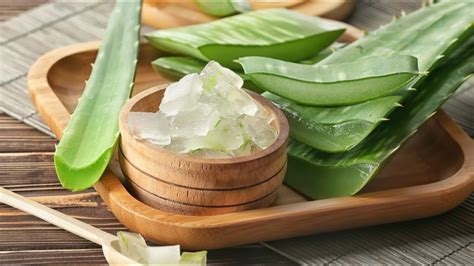 This video shows how to make 100% fresh aloe era gel at home. DIY- Aloe vera Gel | how to make aloe vera gel at home ...