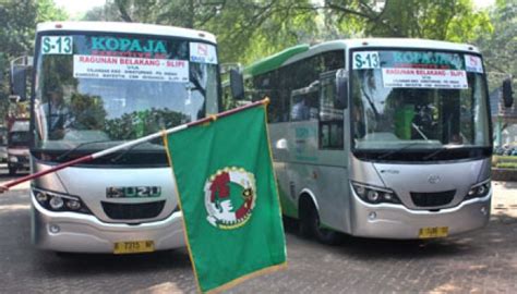 Bus Kopaja Ac Diluncurkan Metro