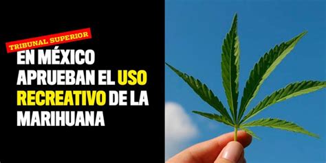En México Aprueban El Uso Recreativo De La Marihuana