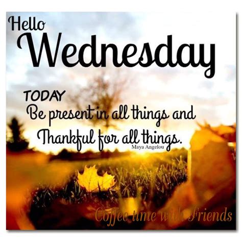 Hello Wednesday Inspirations | Wednesday quotes, Happy wednesday quotes, Good morning wednesday