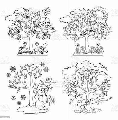 Seasons Coloring Four Clipart Trees Vector Summer