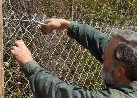 A cactus fence is a hedge or fence made of closely spaced cactus plants, sometimes with barbed wire or wood interwoven with the cacti. Pro Fence Contractors in RI | #1 Fence Company for a Reason!